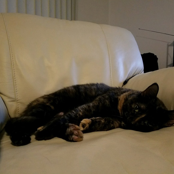 Meet your Posher, Siew - Picture 1 of 1